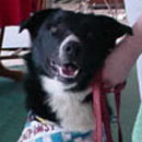 Chandler was adopted in May, 2004